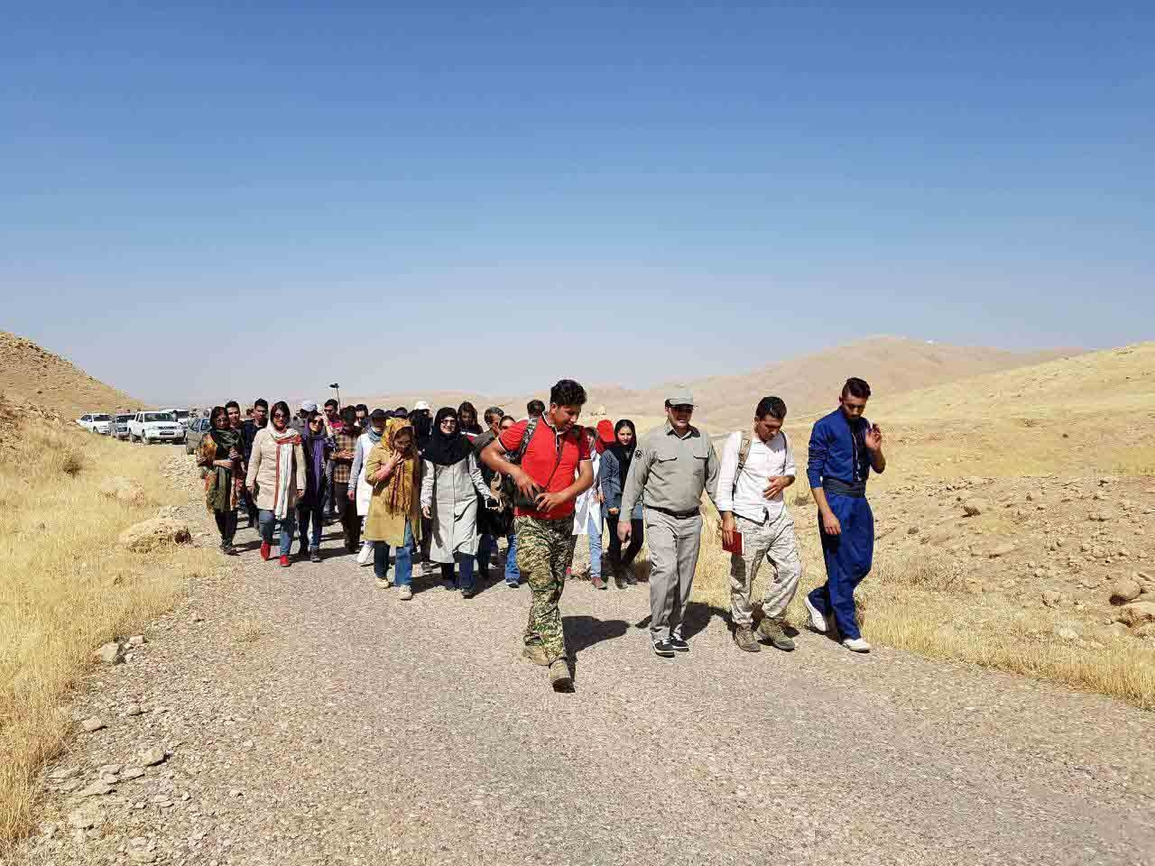 قرارهای سبز هفته های دوم و سوم مهر96